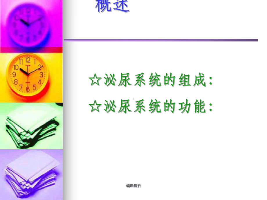 泌尿系统的组成泌尿系统的功能课件.ppt_第2页