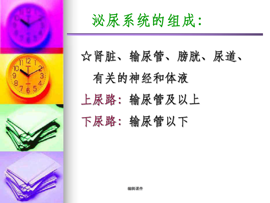 泌尿系统的组成泌尿系统的功能课件.ppt_第3页