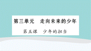 九年级下册道德与法治第三单元第5课《少年的担当》复习知识梳理课件.ppt