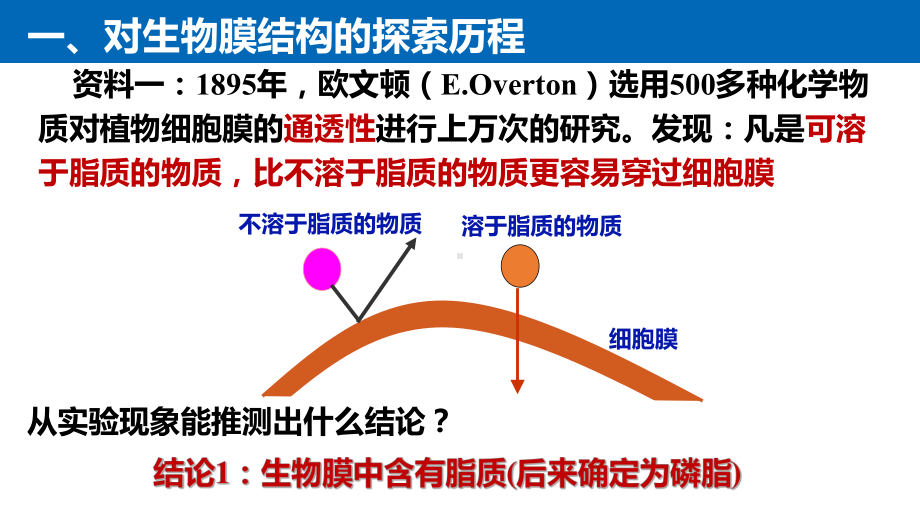 （人教版）高中生物-4-2生物膜的流动镶嵌模型课件.pptx_第3页