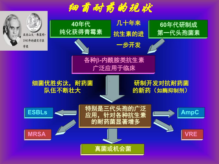 磷霉素钠“时间差冲击疗法”在抗重症感染中的临床应用课件.pptx_第2页