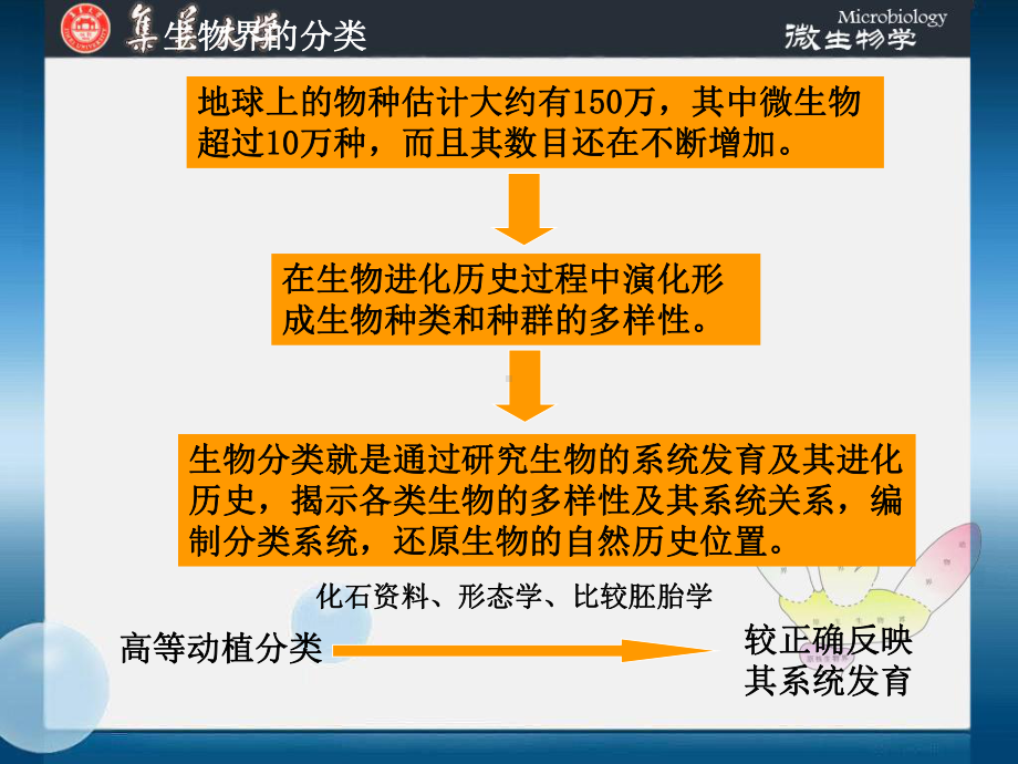 第十一章-微生物的分类和鉴定课件.ppt_第2页