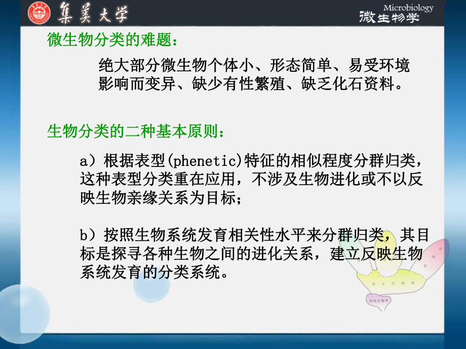 第十一章-微生物的分类和鉴定课件.ppt_第3页