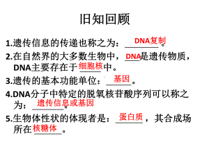 浙科版-必修2-遗传信息的表达-课件.pptx