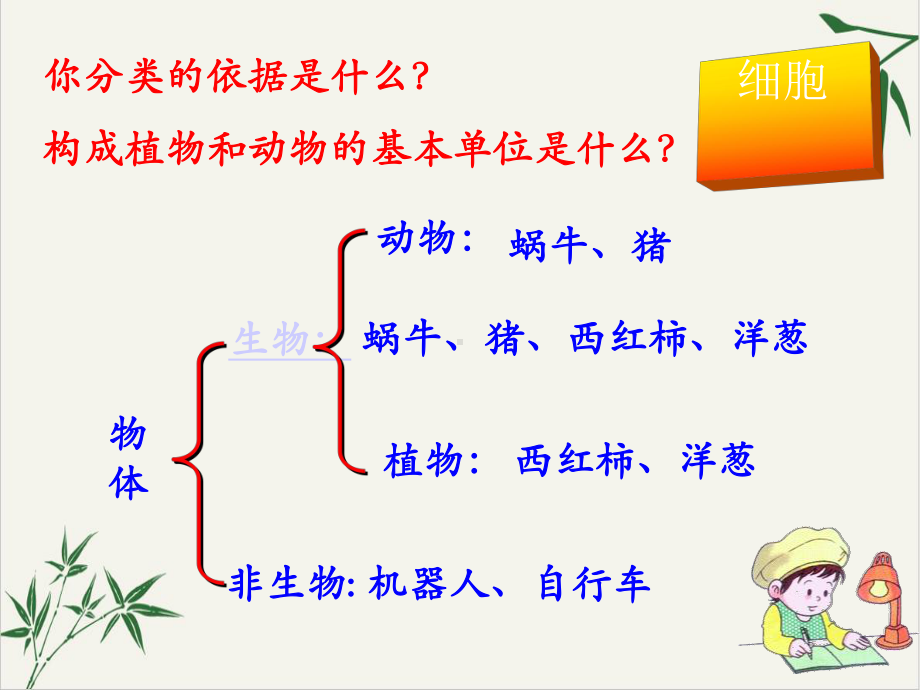 浙教版科学七年级上册课件：1—3节复习.ppt_第3页