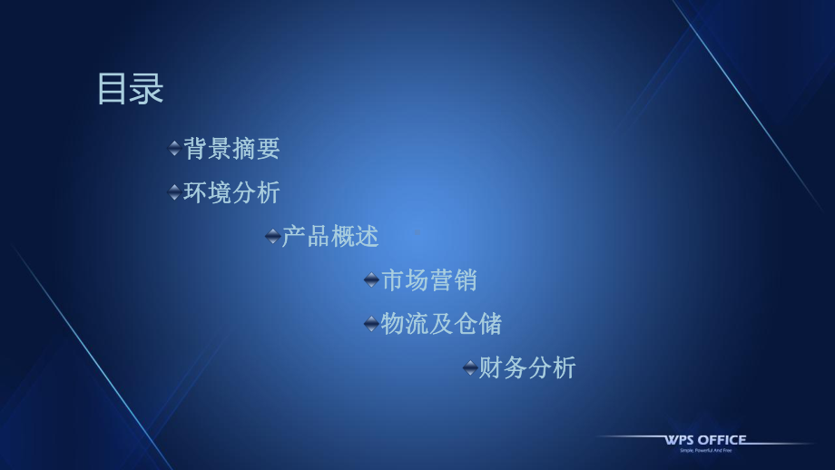 情趣用品移动电商项目创业计划书课件.ppt_第2页