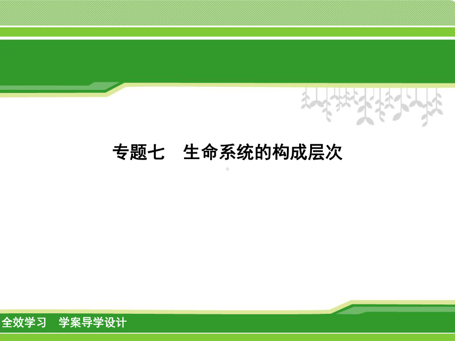 （最新华师大版）科学中学初中中考二轮复习专题讲解：7-生命系统的构成层次课件.pptx_第1页