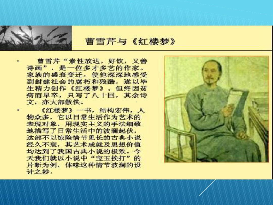 红楼梦-宝玉挨打课件.ppt_第3页