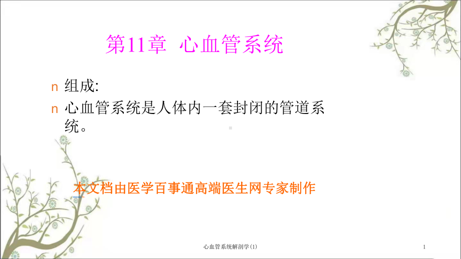 心血管系统解剖学课件1.ppt_第1页