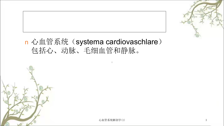 心血管系统解剖学课件1.ppt_第3页