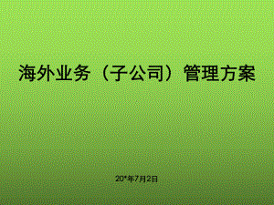 某大型机械公司海外子公司管理方案.ppt