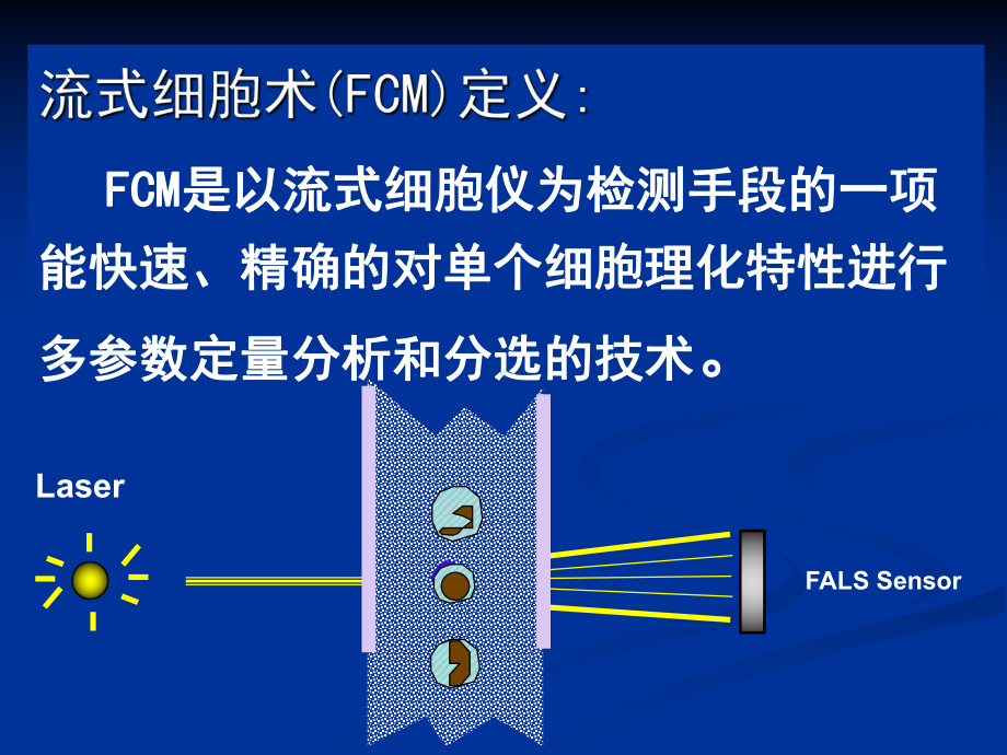 流式细胞仪-上海交通大学医学院医学检验系课件.ppt_第2页