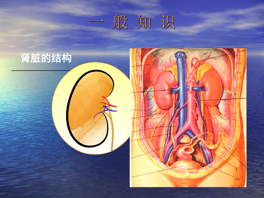 慢性肾脏病心血管并发症的防治策略课件.ppt_第2页