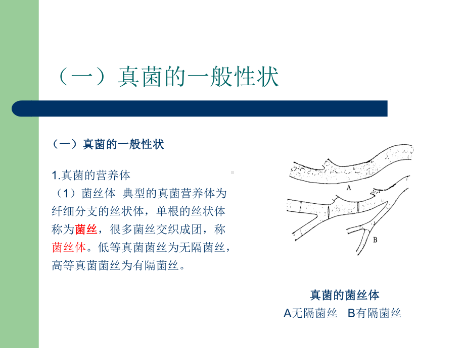 （管理资料）植物病害基础知识102汇编课件.ppt_第2页