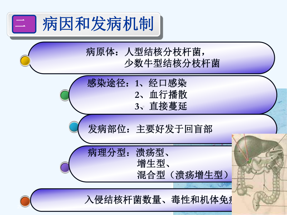 肠结核和结腹性腹膜炎课件.ppt_第2页