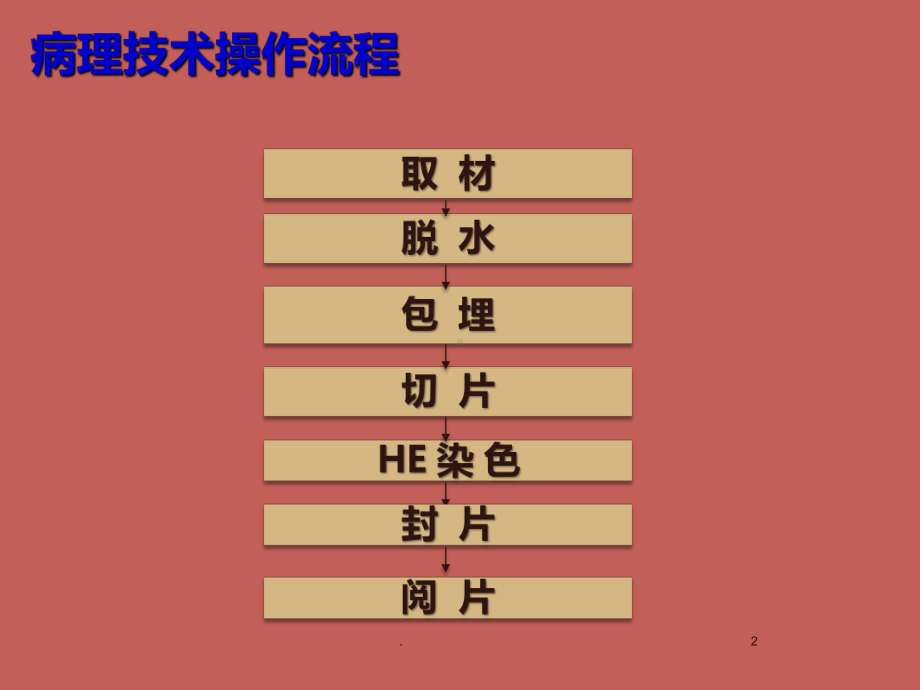 医学课件-宫颈标本处理的病理学技能教学课件.ppt_第2页