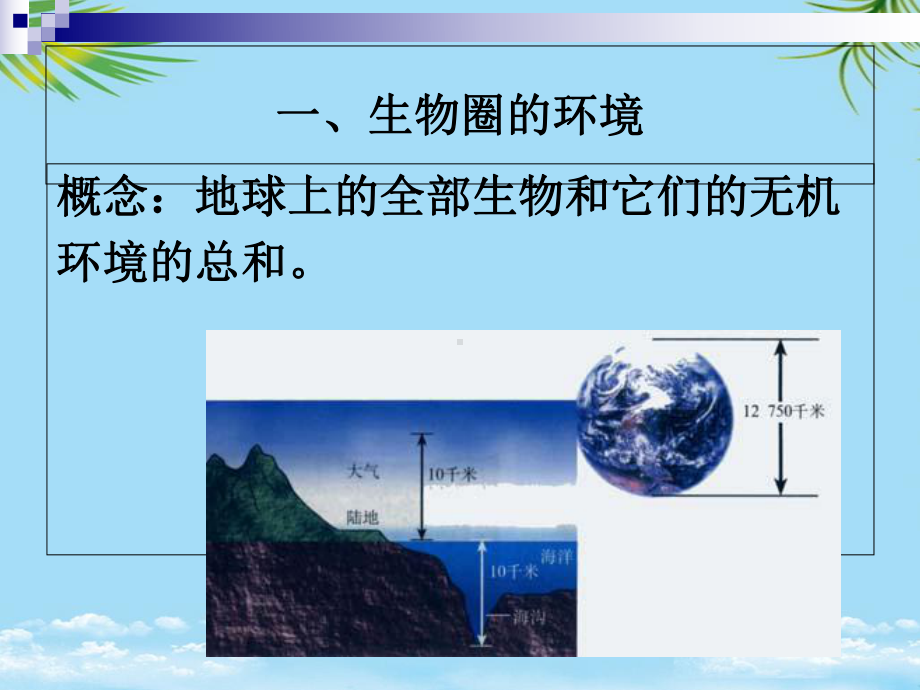 环境与生态因子-最全资料课件.ppt_第2页