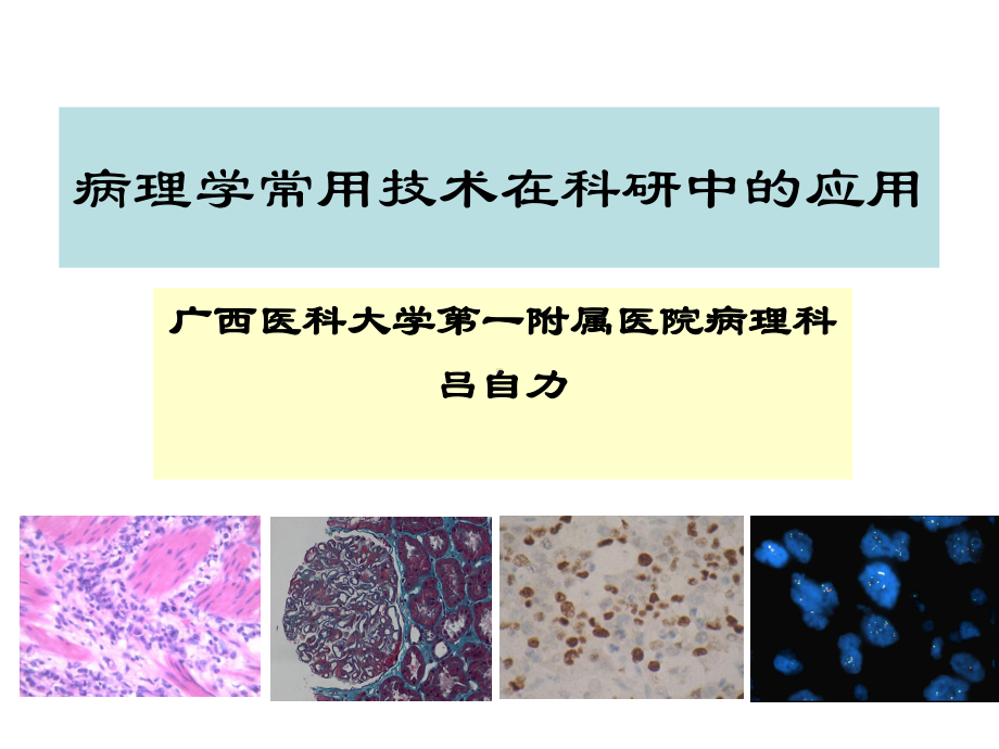 病理学技术的应用课件.ppt_第1页