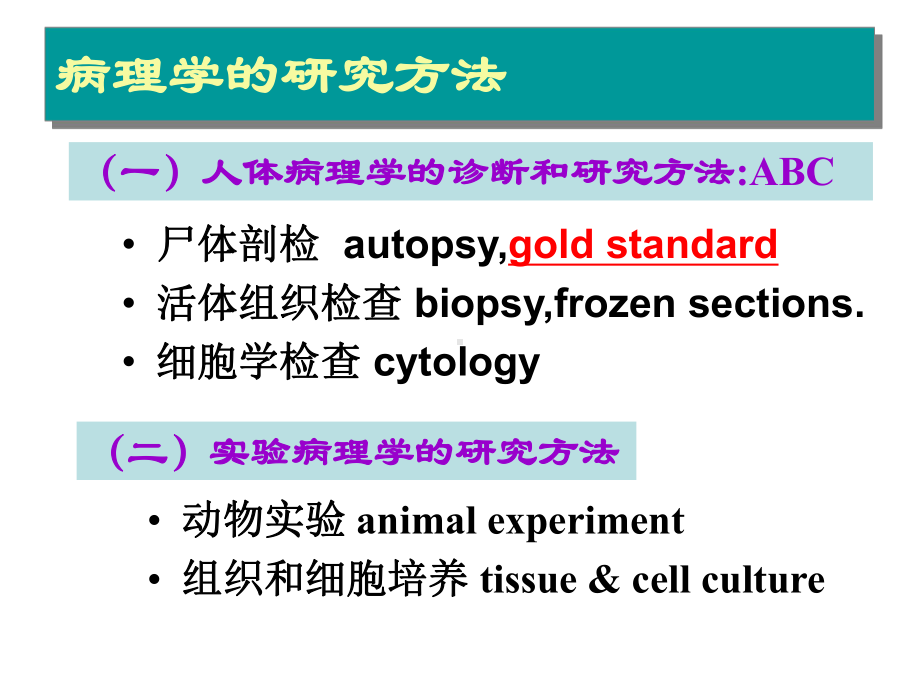 病理学技术的应用课件.ppt_第2页