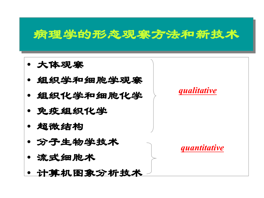 病理学技术的应用课件.ppt_第3页