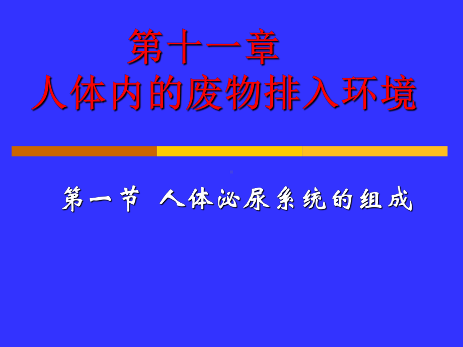 生物：111《人体泌尿系统的组成》课件(苏教版七年级下).ppt_第1页