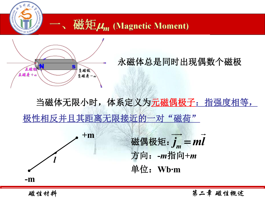 第二章-磁性概述课件.ppt_第2页