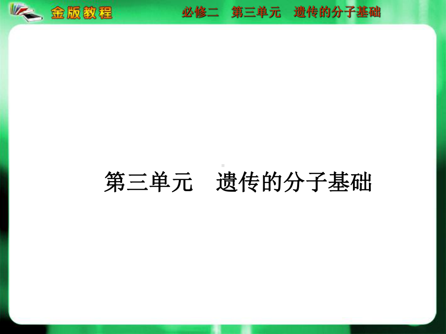 必修二遗传与进化课件.ppt_第2页