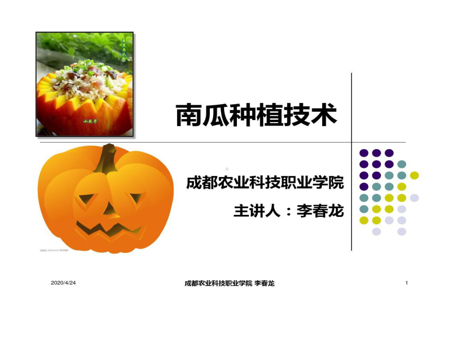 南瓜种植培训的资料课件.ppt_第1页