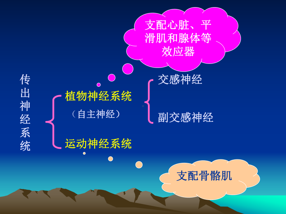 第四章-传出神经系统药课件.ppt_第3页