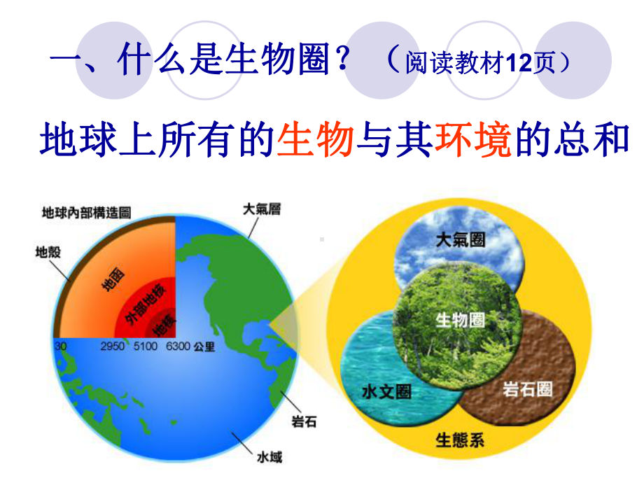 猫吃老鼠蜘蛛捕捉蝗虫棕熊捕鱼七星瓢虫捕食蚜虫课件.ppt_第2页