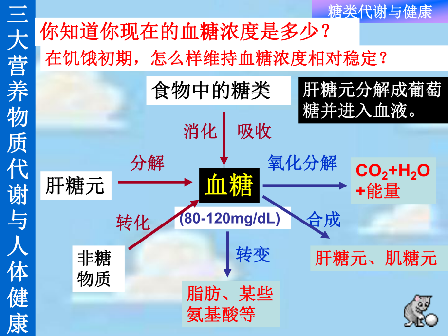 糖类代谢与人体健康课件.ppt_第2页