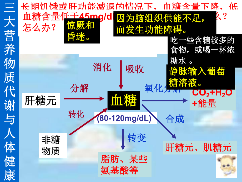 糖类代谢与人体健康课件.ppt_第3页