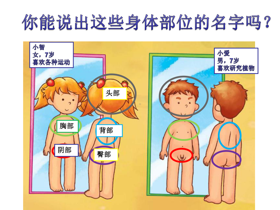 小学女生防性侵+预防性侵害课件.ppt_第2页