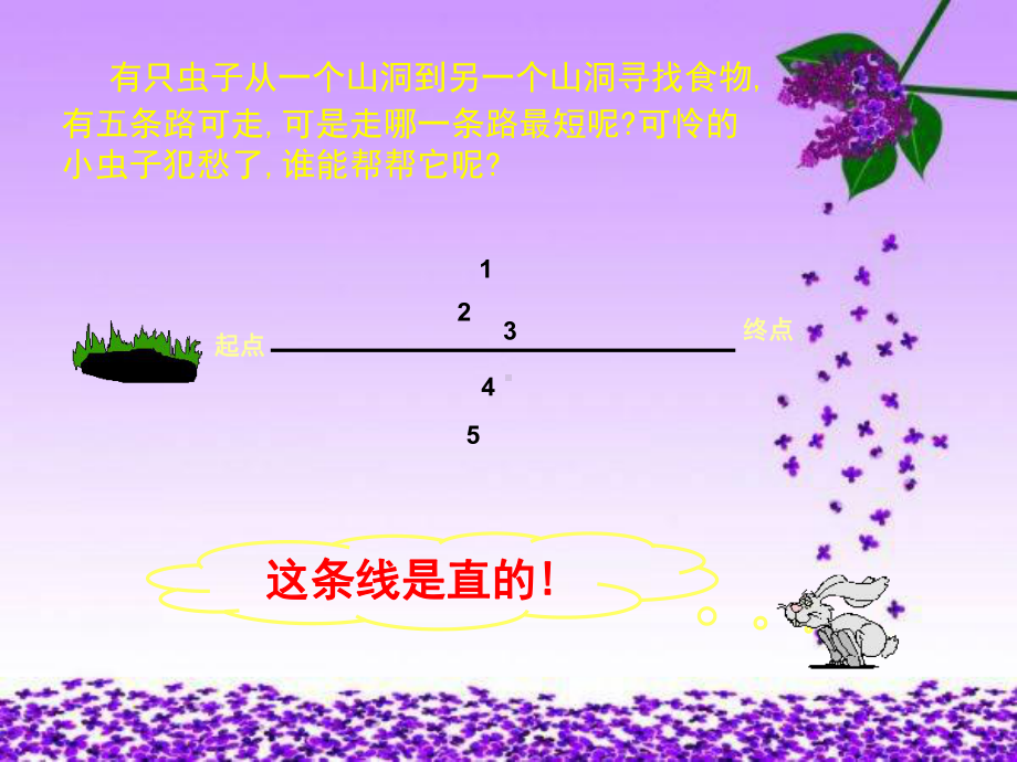 沪教版一年级数学下册课件线段.ppt_第2页