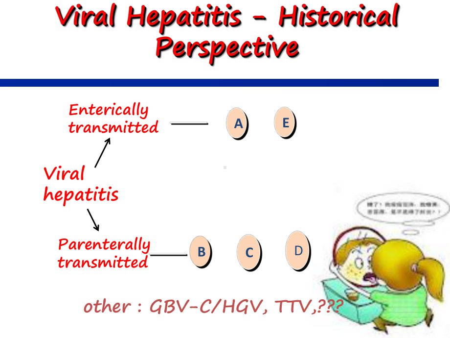 第二十五章肝炎病毒hepatitisvirusHV课件.ppt_第2页