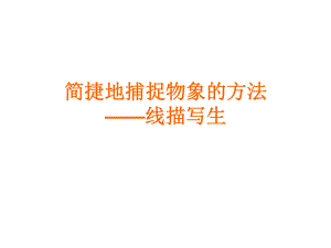 眼耳鼻舌身谈谈你的感官经验谈谈你认识的线课件.ppt