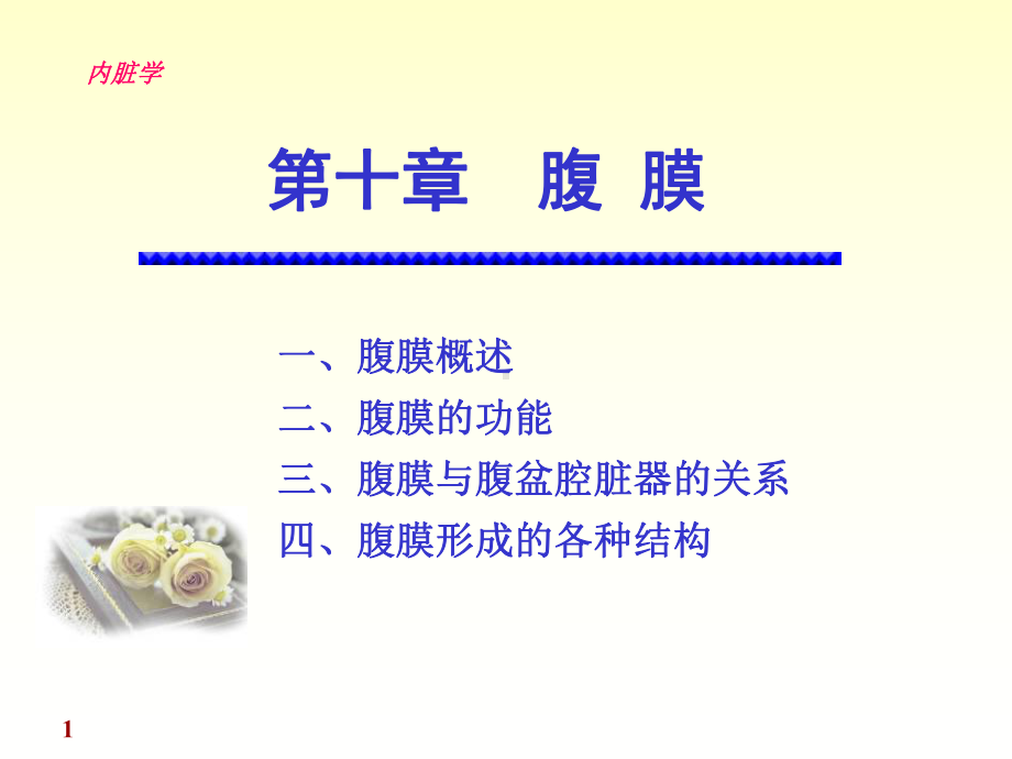 系统解剖学腹膜讲述课件.ppt_第1页