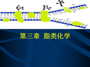 第三章-脂类化学课件.ppt