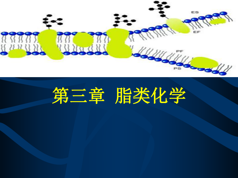 第三章-脂类化学课件.ppt_第1页