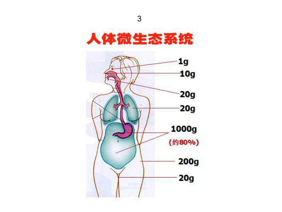 基于高通量测序的菌群结构谱研究课件.ppt_第3页