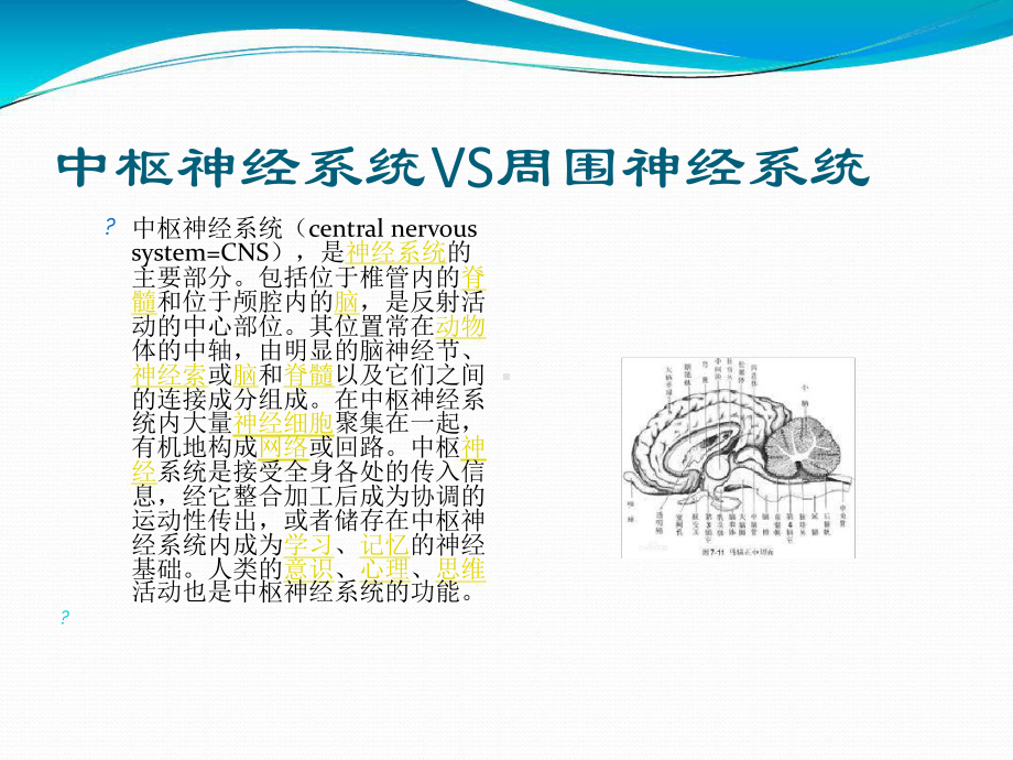 中枢性面瘫与周围性面瘫的区别分解课件.ppt_第2页