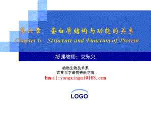 第六章蛋白质结构与功能的关系powerpoint-template课件.ppt