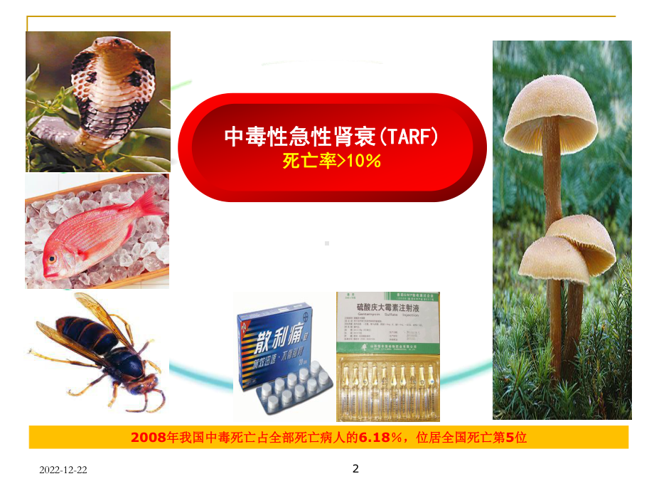 急性中毒的血液净化治疗参考课件.ppt_第2页