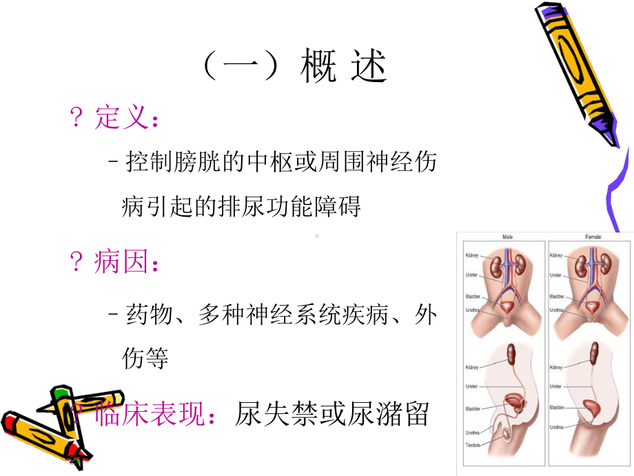 完整版康复医学第五节神经源性膀胱康复评定与处理课件.ppt_第2页