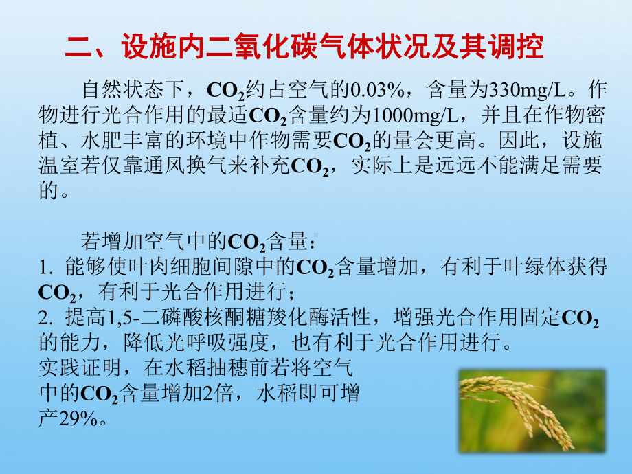 第五章设施气体环境及其调控课件.ppt_第3页