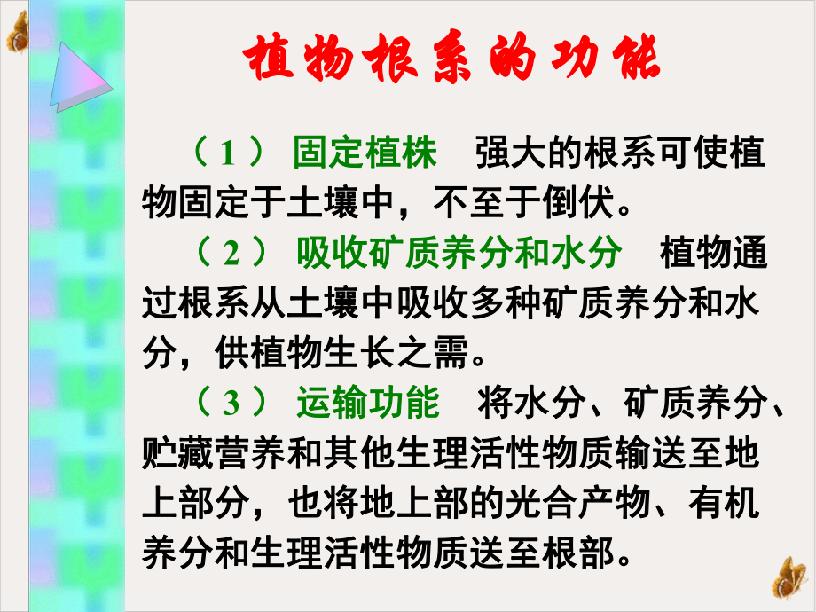 果树根系生理研究的应用培训课件.ppt_第3页