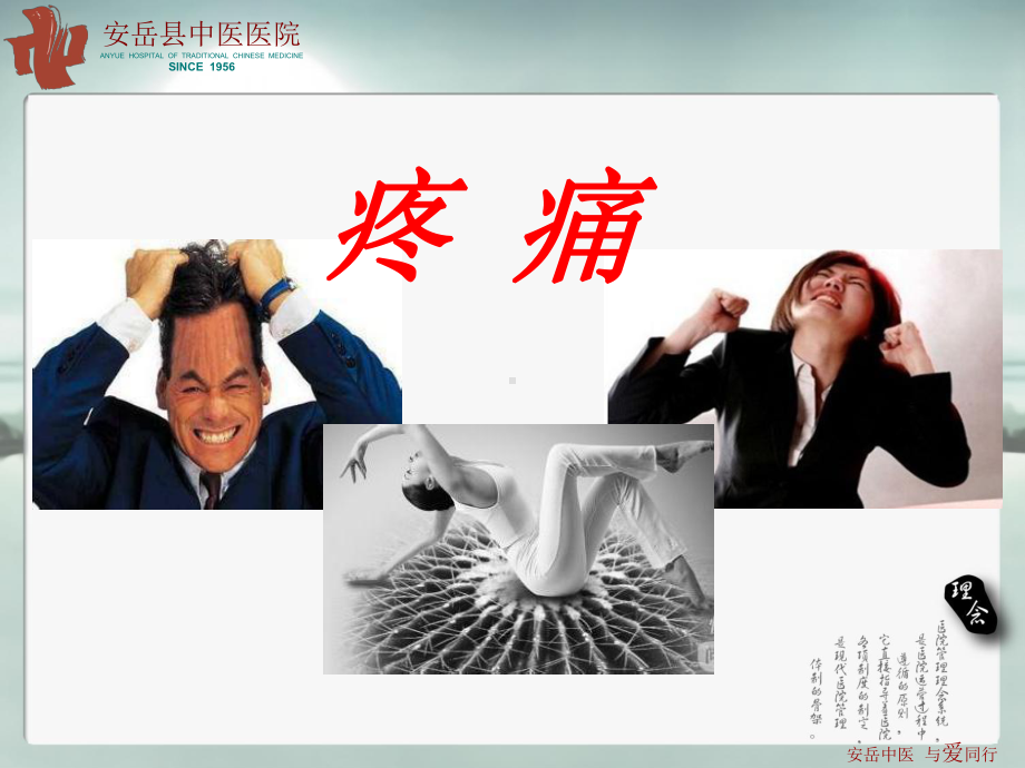 帕瑞昔布钠-课件.ppt_第3页