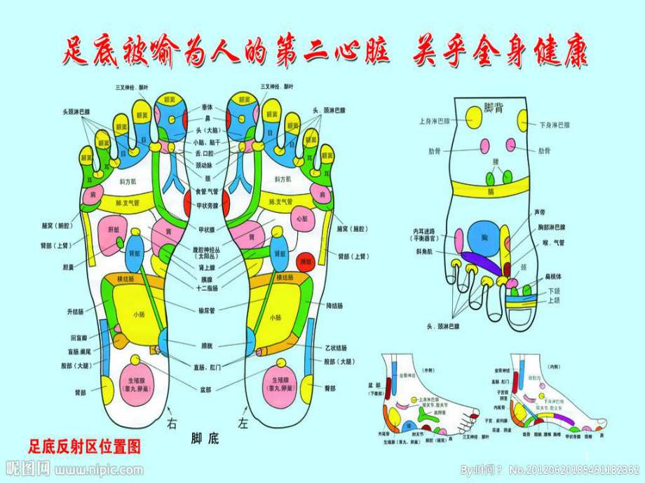 泡脚的好处课件.pptx_第1页