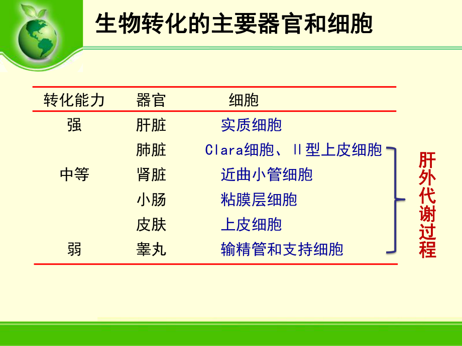 环境污染物的生物转运和生物转化生物转化课件.ppt_第1页