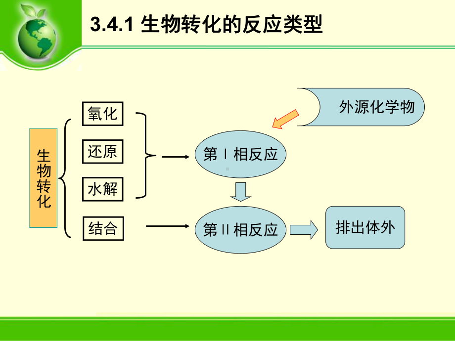 环境污染物的生物转运和生物转化生物转化课件.ppt_第2页